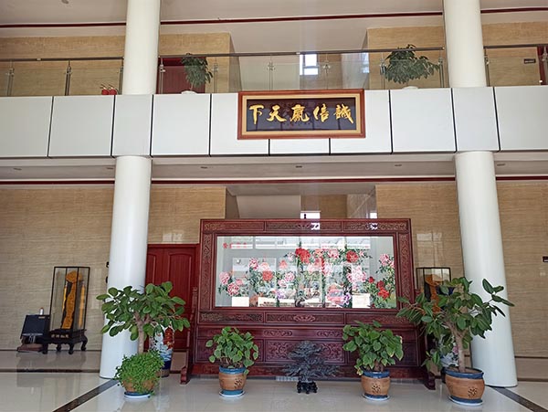好色先生黄色APP下载