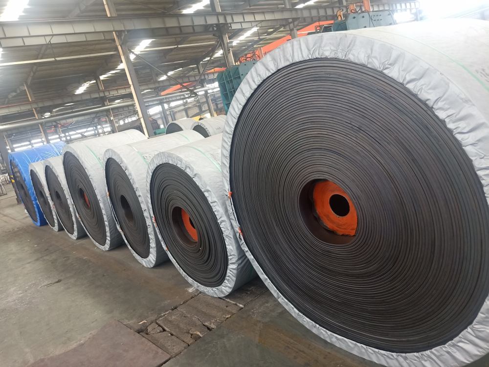 好色先生在线视频詳細介紹輕型輸送帶和好色先生TV下载网站有什麽不同？